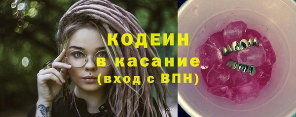 гашик Алексин