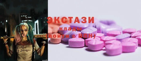 гашик Алексин