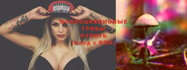 крисы Алексеевка