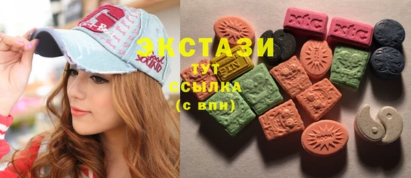 гашик Алексин